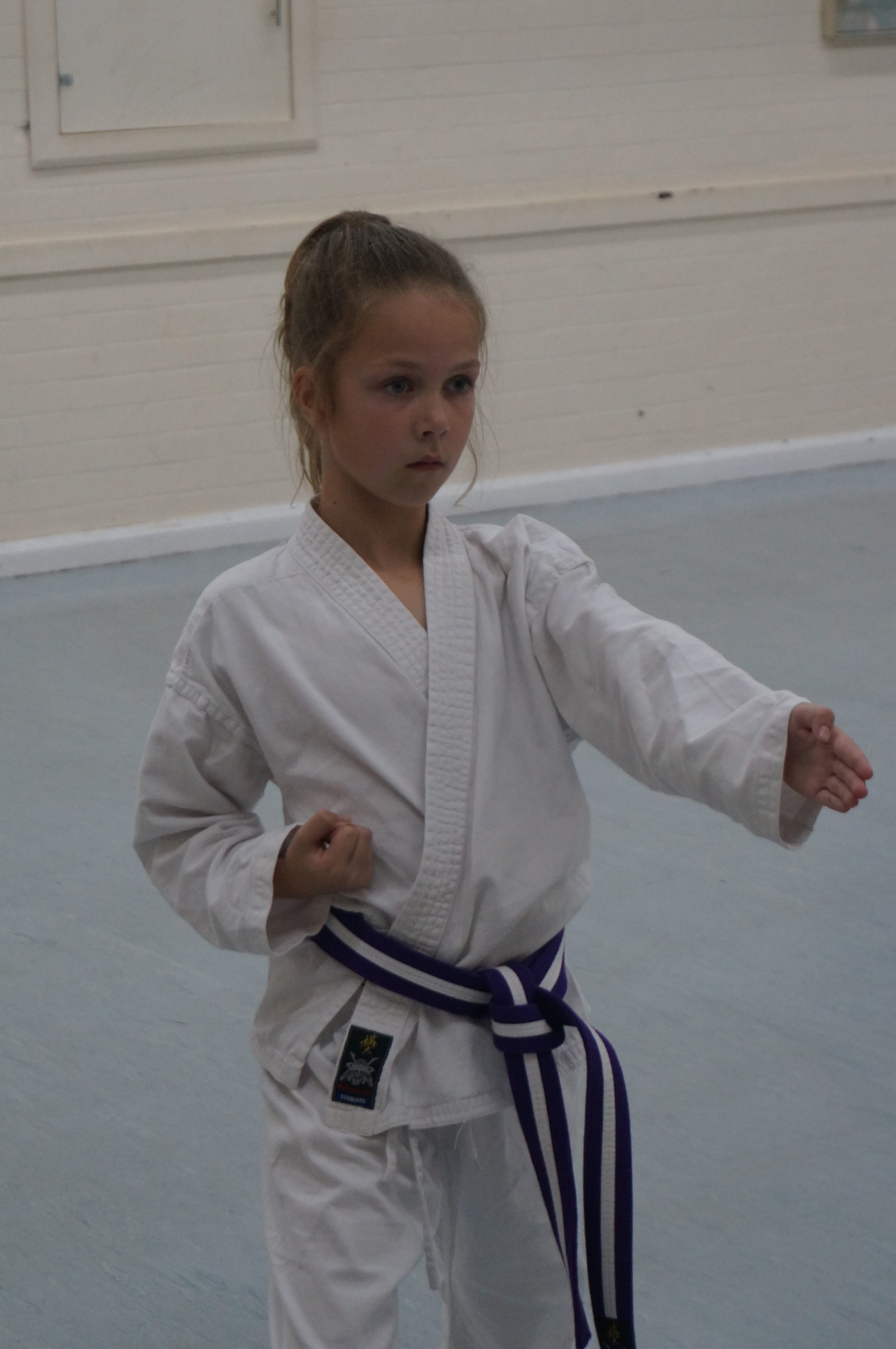 Sensei Stuart Amos at Vicars Cross - Vicars Cross Karate Club